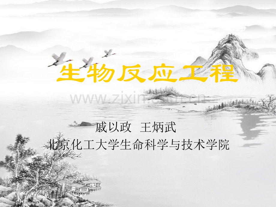 第一章--酶催化反应动力学.ppt_第1页