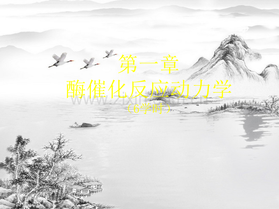 第一章--酶催化反应动力学.ppt_第2页