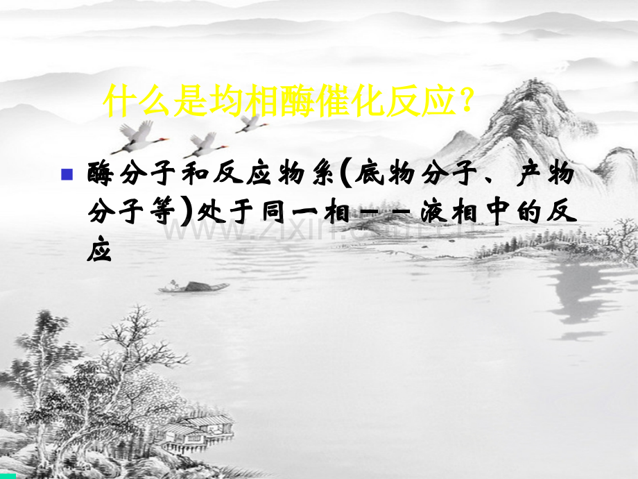 第一章--酶催化反应动力学.ppt_第3页