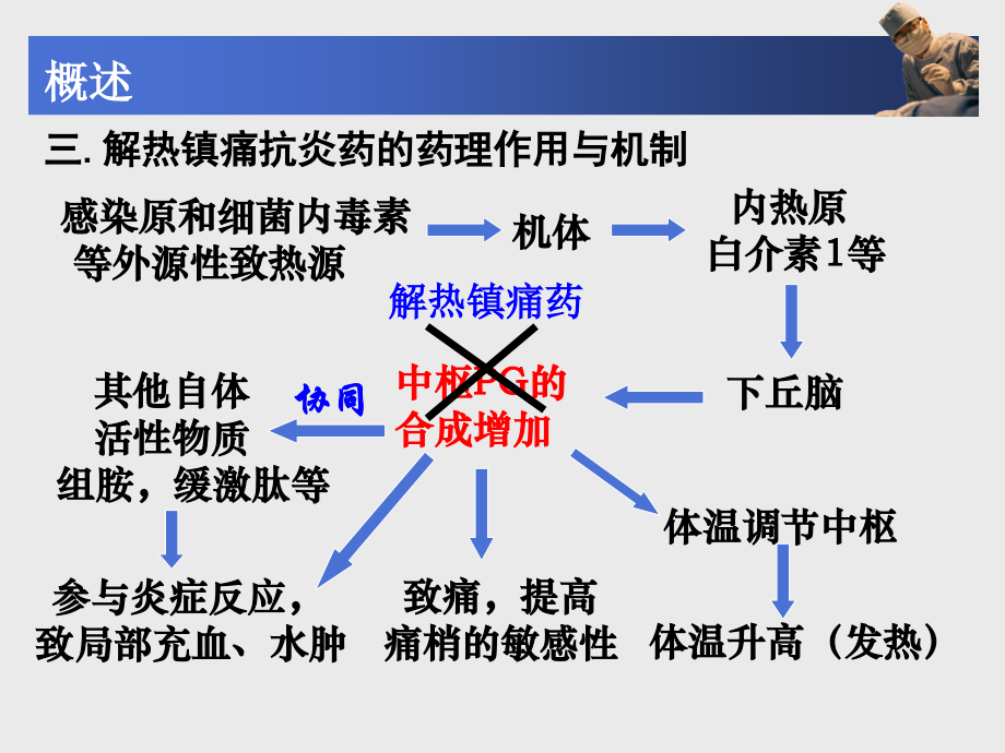 第15章--解热镇痛抗炎药.pptx_第3页