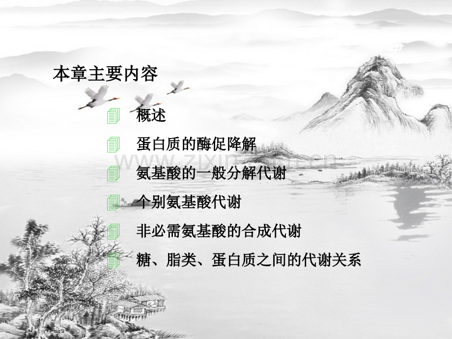 第七章-蛋白质的酶促降解和氨基酸代谢.ppt_第2页