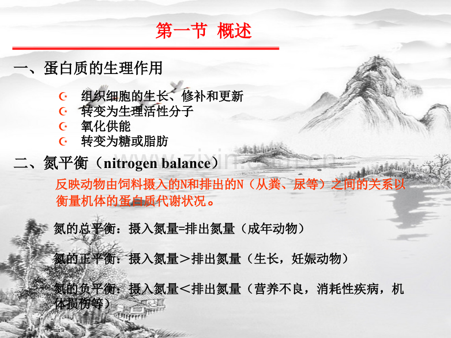 第七章-蛋白质的酶促降解和氨基酸代谢.ppt_第3页