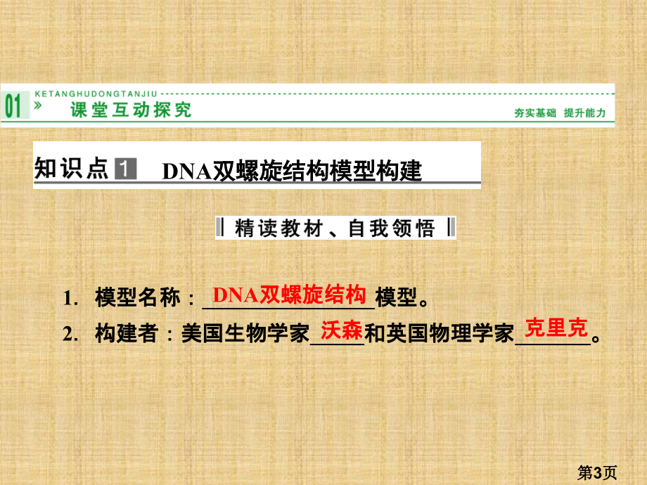 第三章《DNA分子的结构》人教版必修名师优质课获奖市赛课一等奖课件.ppt_第3页