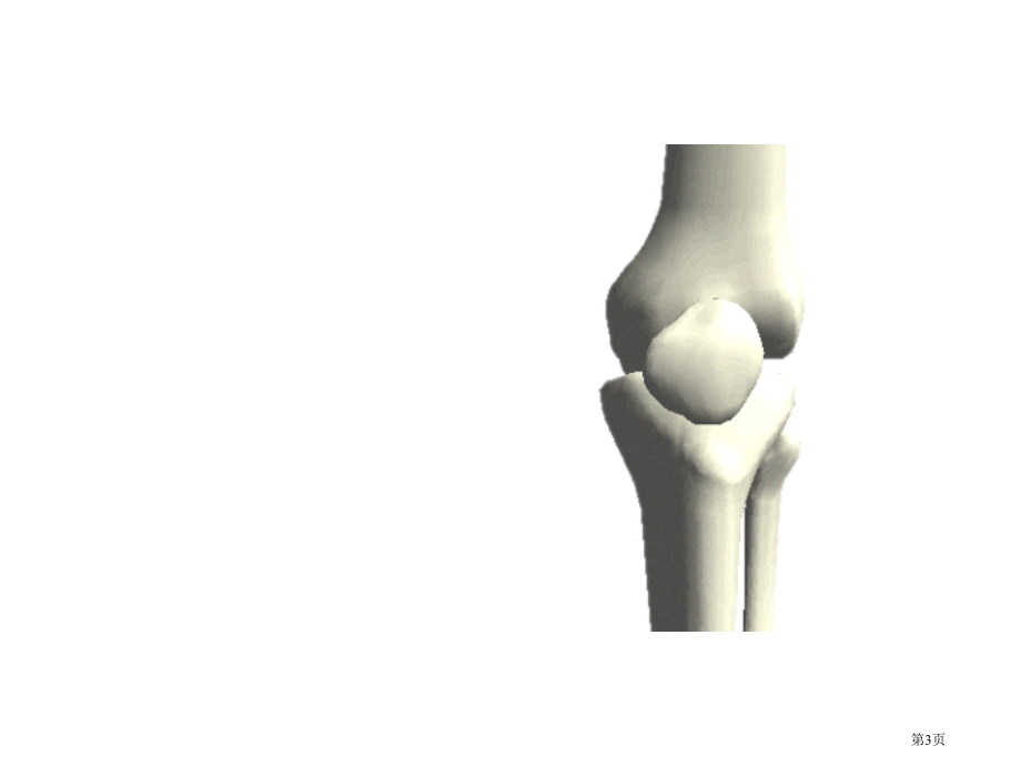 骨骼2苏教版小学科学四年级下册市名师优质课比赛一等奖市公开课获奖课件.pptx_第3页