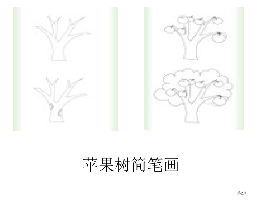 观察一棵树鄂教版四年级科学上册市名师优质课比赛一等奖市公开课获奖课件.pptx_第2页