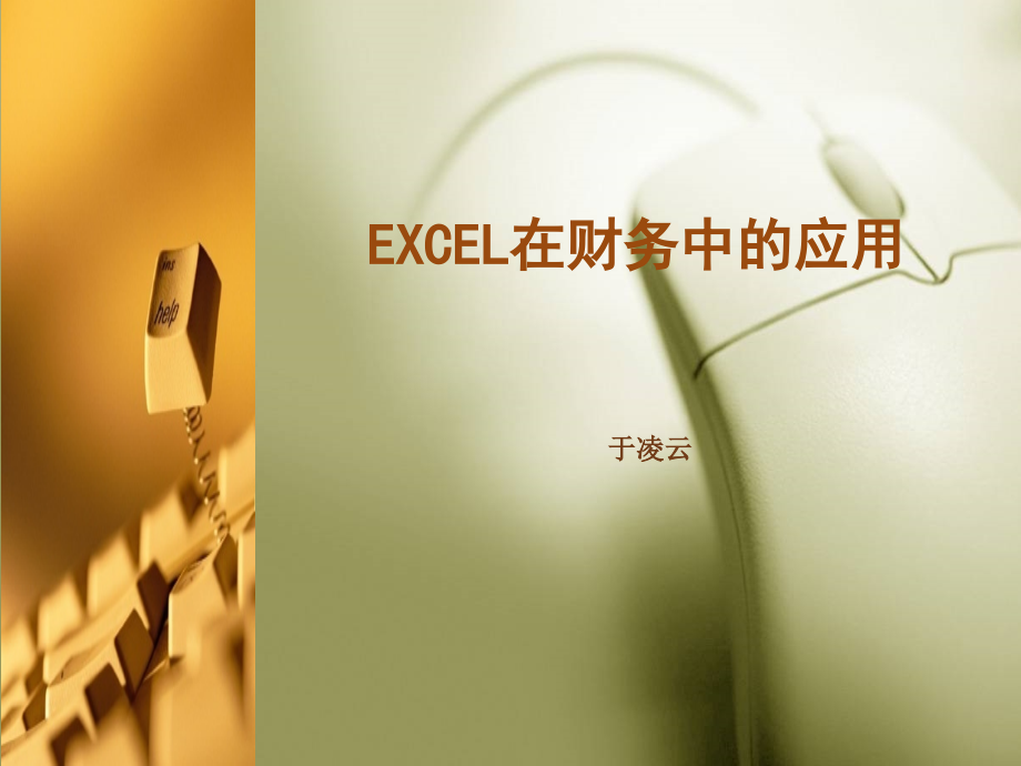 《Excel在财务中的应用》课件项目八.ppt_第1页