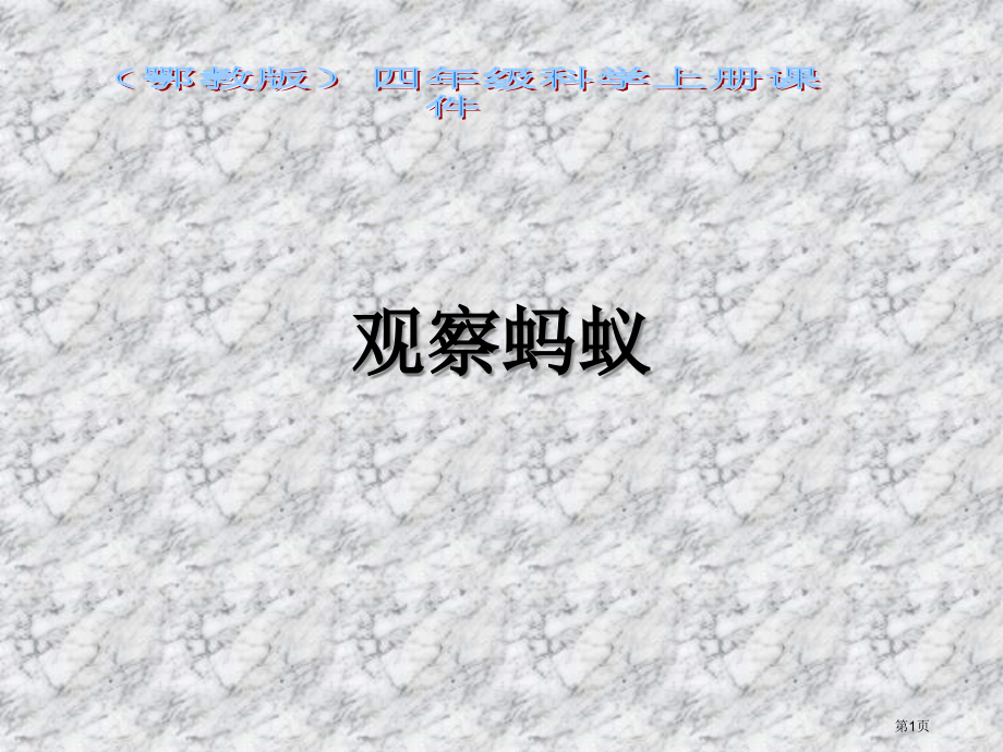 观察蚂蚁鄂教版四年级科学上册市名师优质课比赛一等奖市公开课获奖课件.pptx_第1页