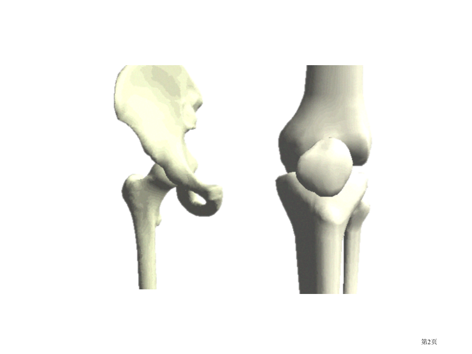 骨骼2青岛版三年级科学下册市名师优质课比赛一等奖市公开课获奖课件.pptx_第2页