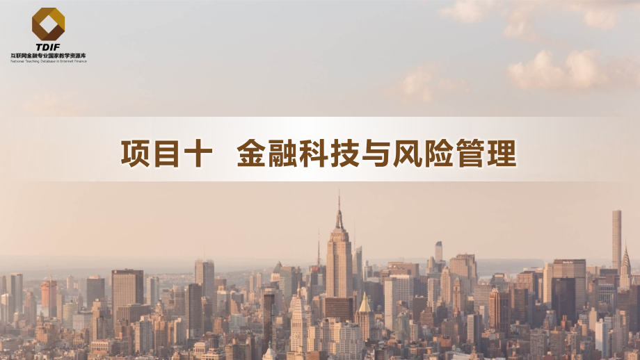 10金融科技与风险管理-任务3-金融科技风险管理的国际经验.pptx_第2页