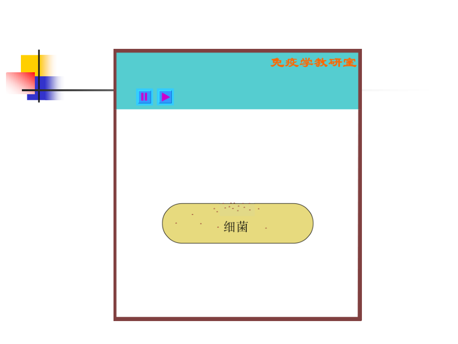 《医学免疫学与医学微生物学》课件第三章-补体系统.ppt_第3页