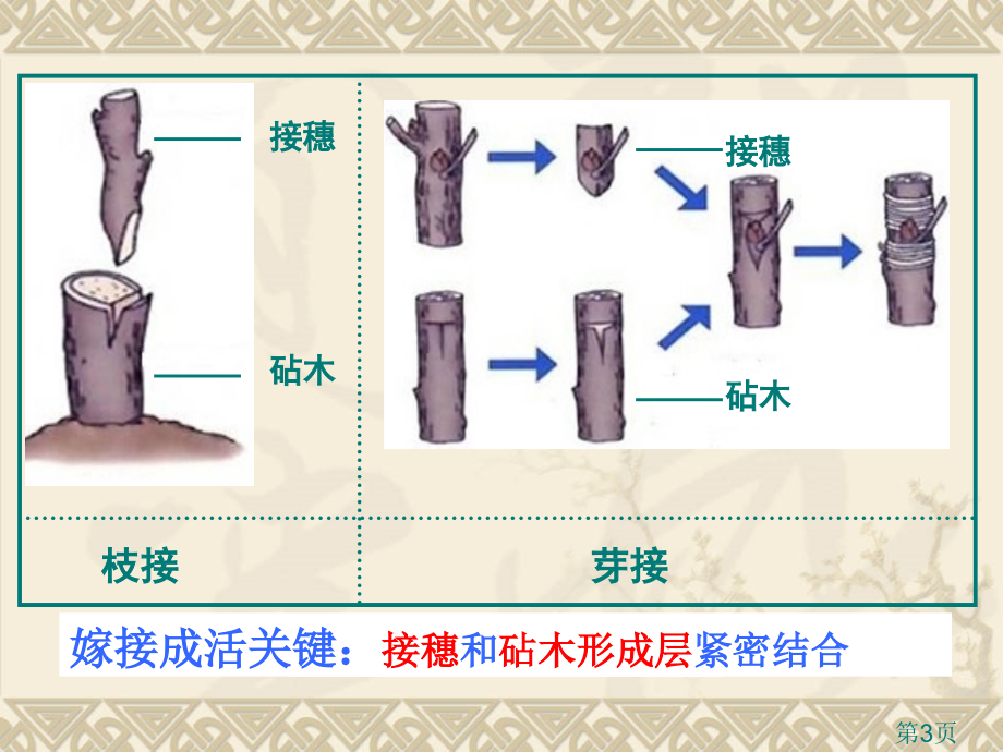 高考文科综合试题及参考答案(四川卷)省名师优质课赛课获奖课件市赛课一等奖课件.ppt_第3页