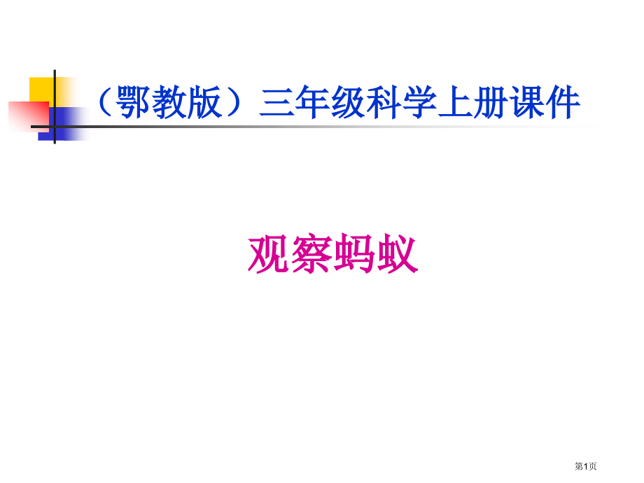 观察蚂蚁2鄂教版四年级科学上册市名师优质课比赛一等奖市公开课获奖课件.pptx_第1页