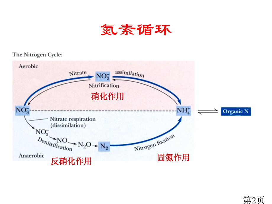 生物化学第30章蛋白质降解和氨基酸的分解代谢省名师优质课赛课获奖课件市赛课一等奖课件.ppt_第2页