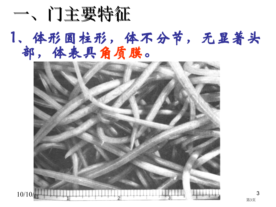 生物八年级上册7.1.2线形动物和环节动物示范课市公开课一等奖省优质课赛课一等奖课件.pptx_第3页