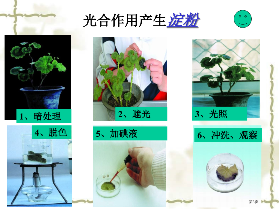 七年级生物上册2.1.4绿色植物的光合作用和呼吸作用市公开课一等奖省优质课赛课一等奖课件.pptx_第3页