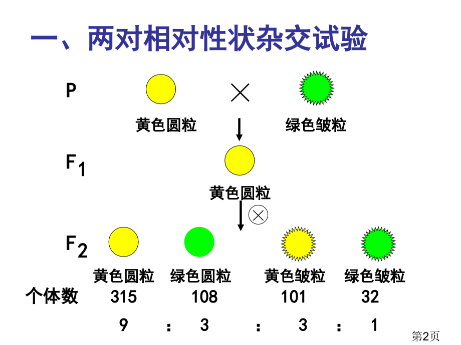 高中生物必修二1.2孟德尔的豌豆杂交实验二名师优质课获奖市赛课一等奖课件.ppt_第2页