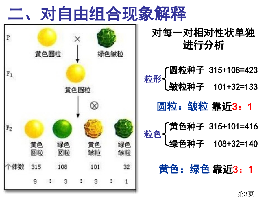 高中生物必修二1.2孟德尔的豌豆杂交实验二名师优质课获奖市赛课一等奖课件.ppt_第3页