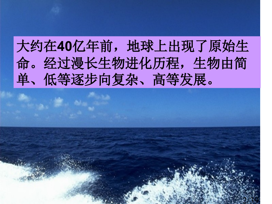 七章节生物进化市公开课获奖课件省名师优质课赛课一等奖课件.ppt_第2页