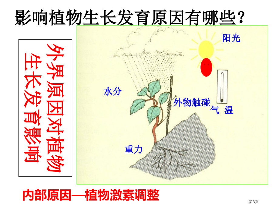 高中生物必修三第三章第3节其他植物激素示范课市公开课一等奖省优质课赛课一等奖课件.pptx_第3页