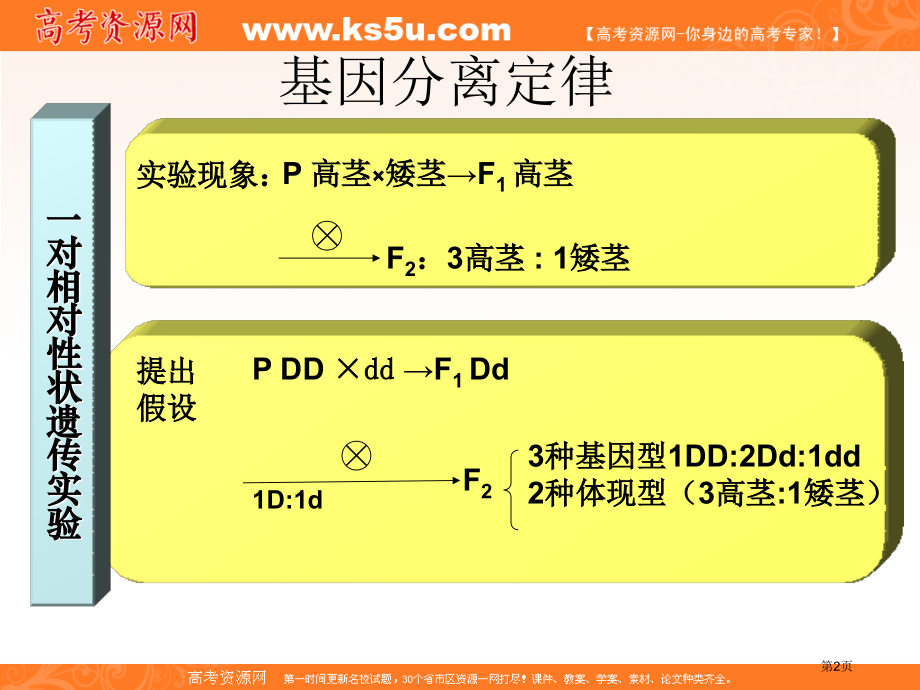 生物二轮复习遗传学实验省名师优质课赛课获奖课件市赛课百校联赛优质课一等奖课件.pptx_第2页