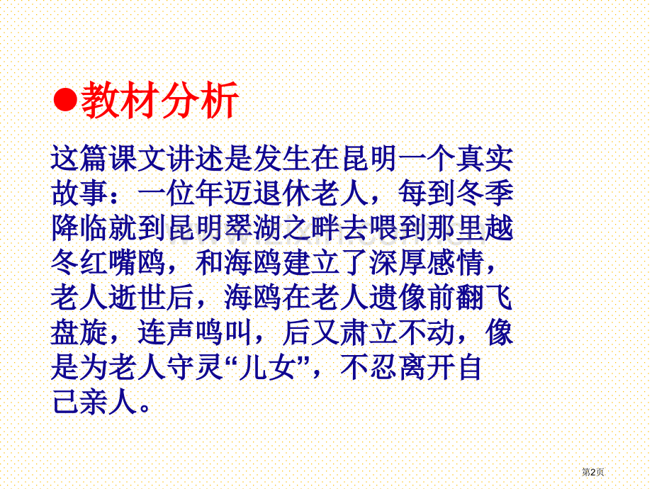 老人与海鸥说课市名师优质课比赛一等奖市公开课获奖课件.pptx_第2页