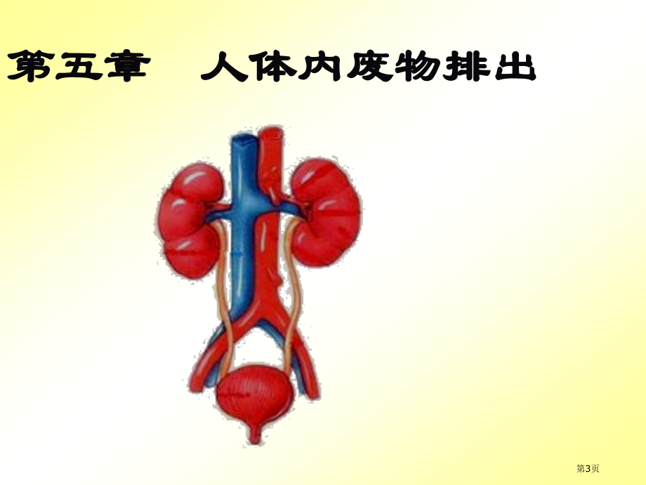 七年级生物下第四单元第五章人体内废物的排出教学市公开课一等奖省优质课赛课一等奖课件.pptx_第3页