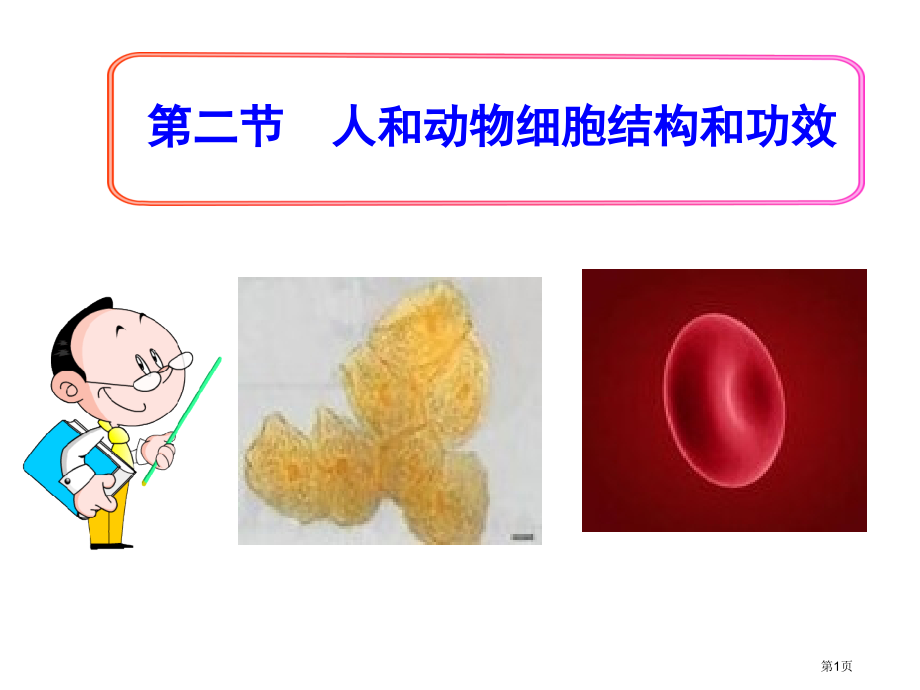 七年级生物上册3.2人和动物细胞的结构和功能市公开课一等奖省优质课赛课一等奖课件.pptx_第1页