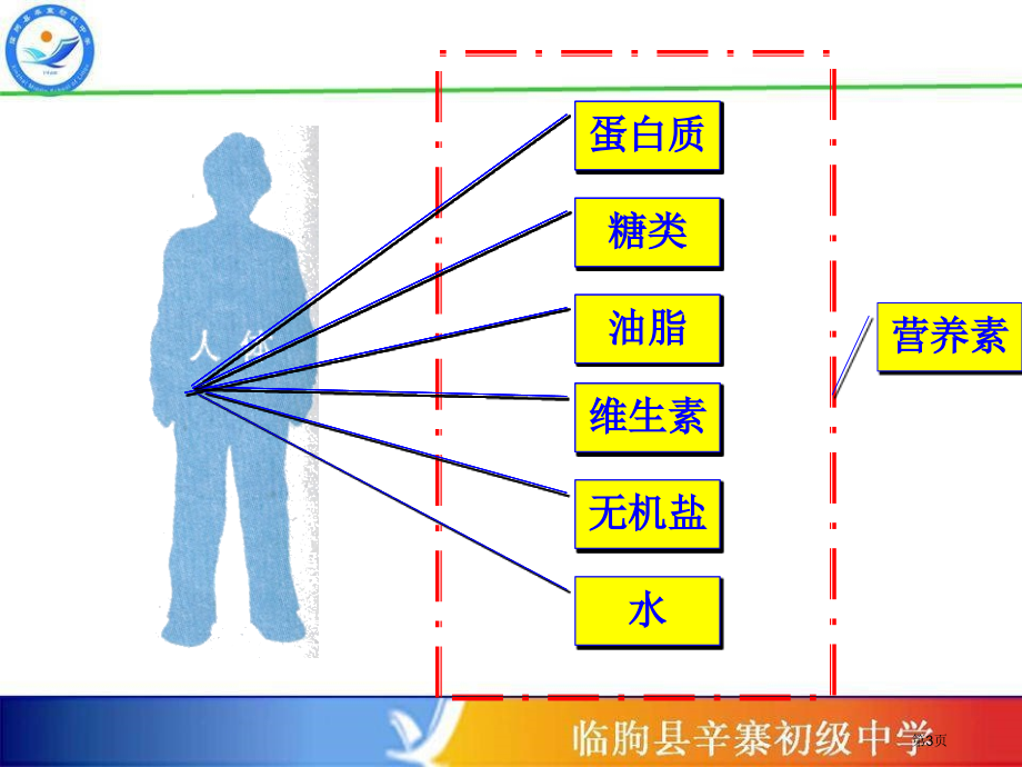 化学九年级下册第十二单元人类重要的营养物质市公开课一等奖省优质课赛课一等奖课件.pptx_第3页