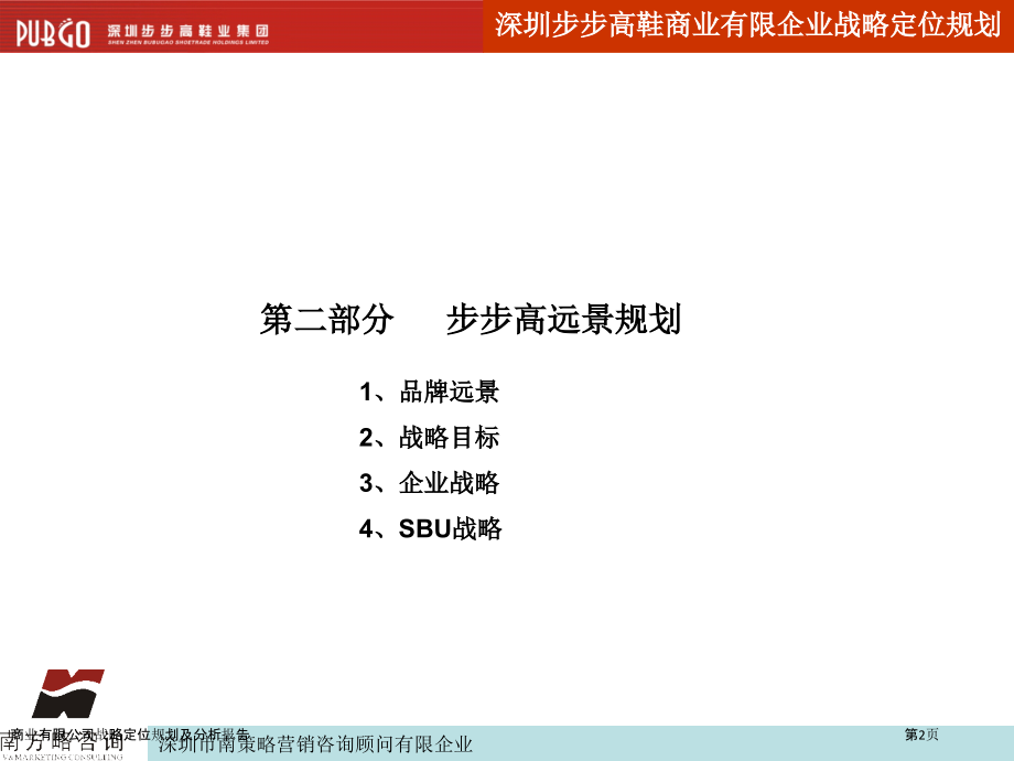 商业有限公司战略定位规划及分析报告.pptx_第2页