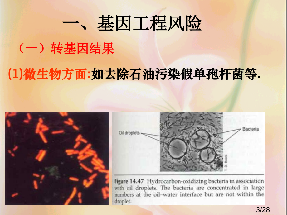 生物安全与生物伦理市公开课一等奖百校联赛优质课金奖名师赛课获奖课件.ppt_第3页