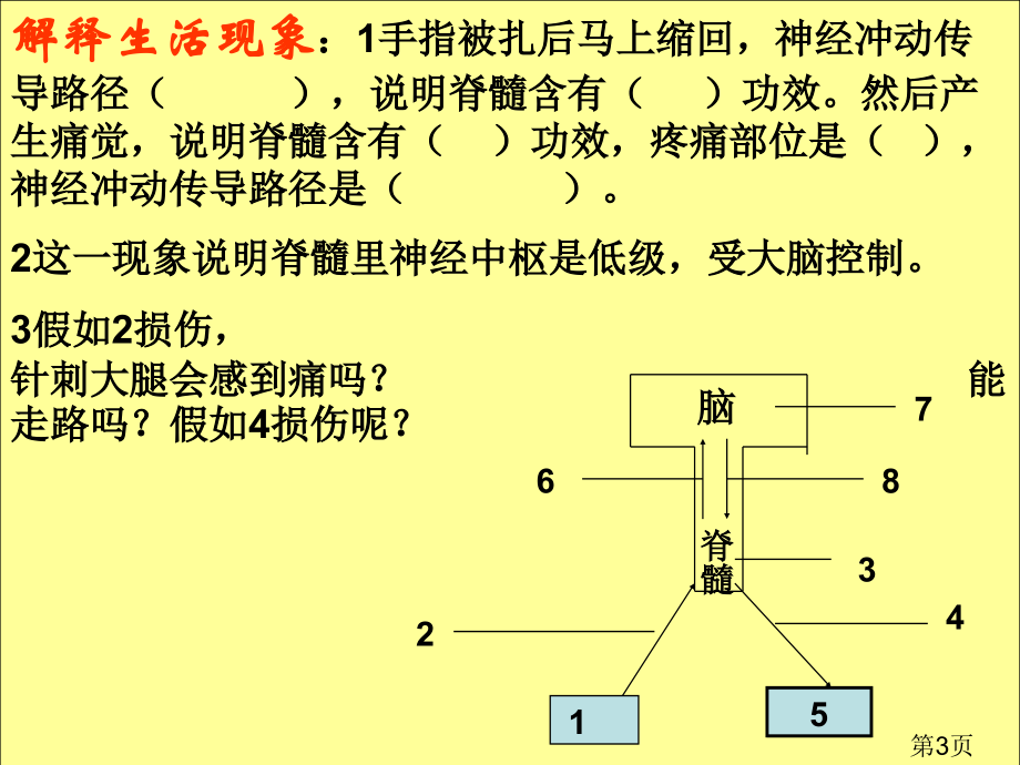 七年级生物《人的激素调节》ppt名师优质课获奖市赛课一等奖课件.ppt_第3页