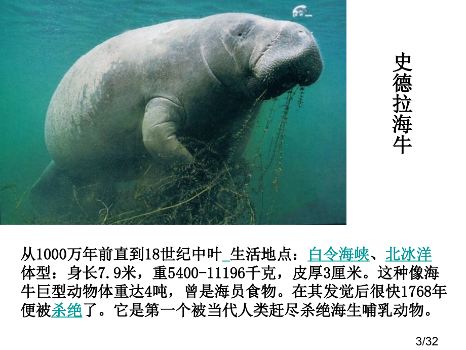 生物危机市公开课一等奖百校联赛优质课金奖名师赛课获奖课件.ppt_第3页