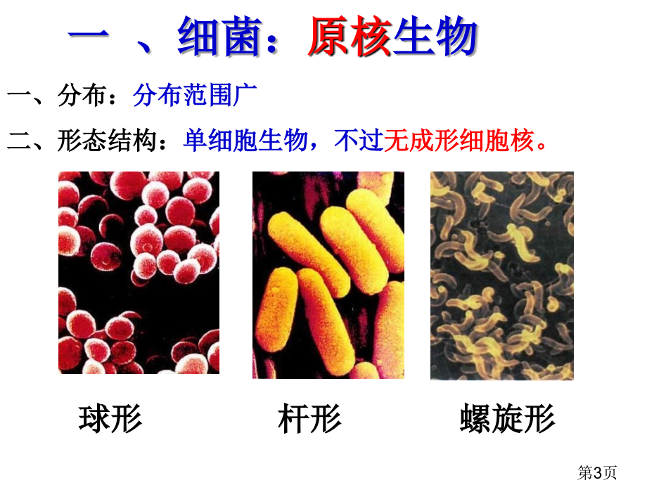 初二生物细菌真菌和病毒复习省名师优质课赛课获奖课件市赛课一等奖课件.ppt_第3页