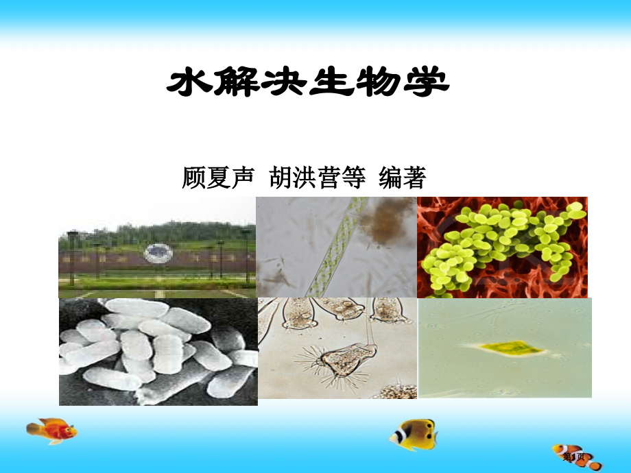 老师的教案水处置生物学概述省名师优质课赛课获奖课件市赛课百校联赛优质课一等奖课件.pptx_第1页