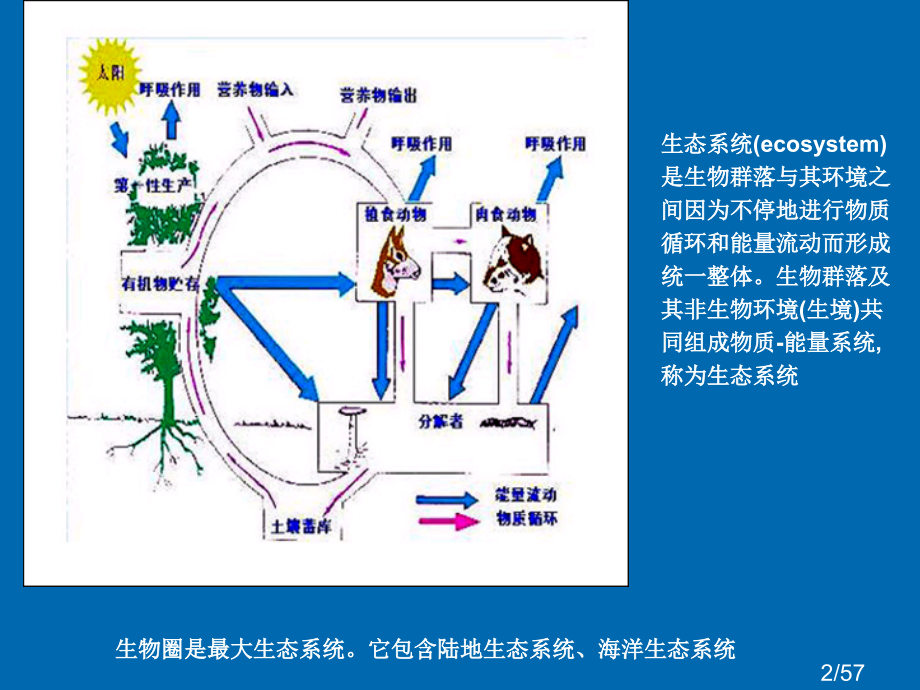 生物污染省名师优质课赛课获奖课件市赛课百校联赛优质课一等奖课件.ppt_第2页