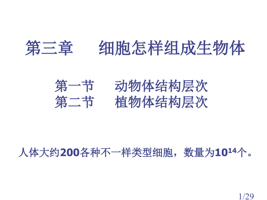 七年级生物动物体的结构层次1省名师优质课赛课获奖课件市赛课一等奖课件.ppt_第1页