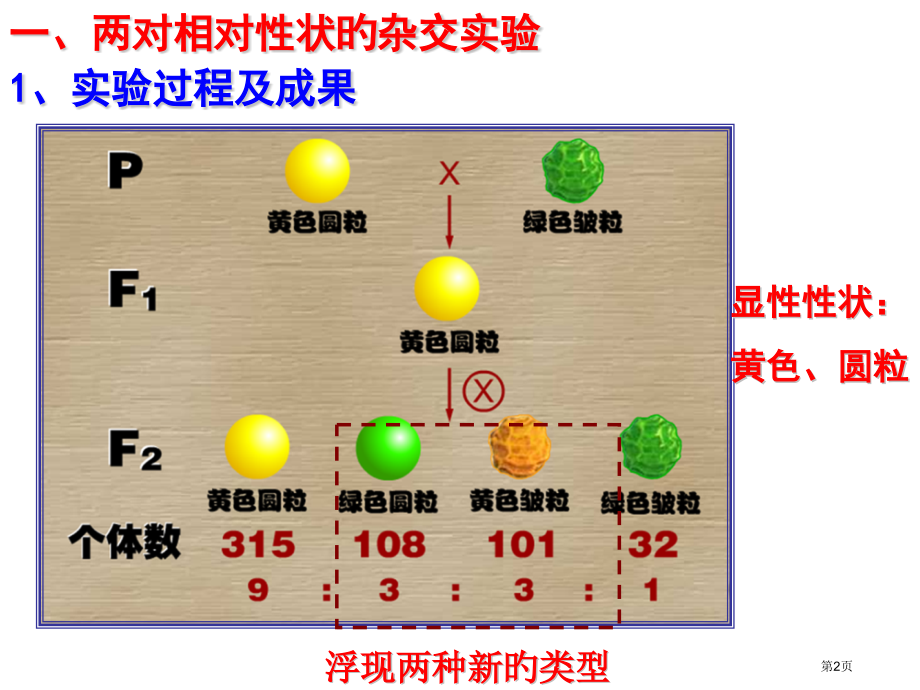 复习必修二遗传的基本规律自由组合规律省名师优质课赛课获奖课件市赛课百校联赛优质课一等奖课件.pptx_第2页