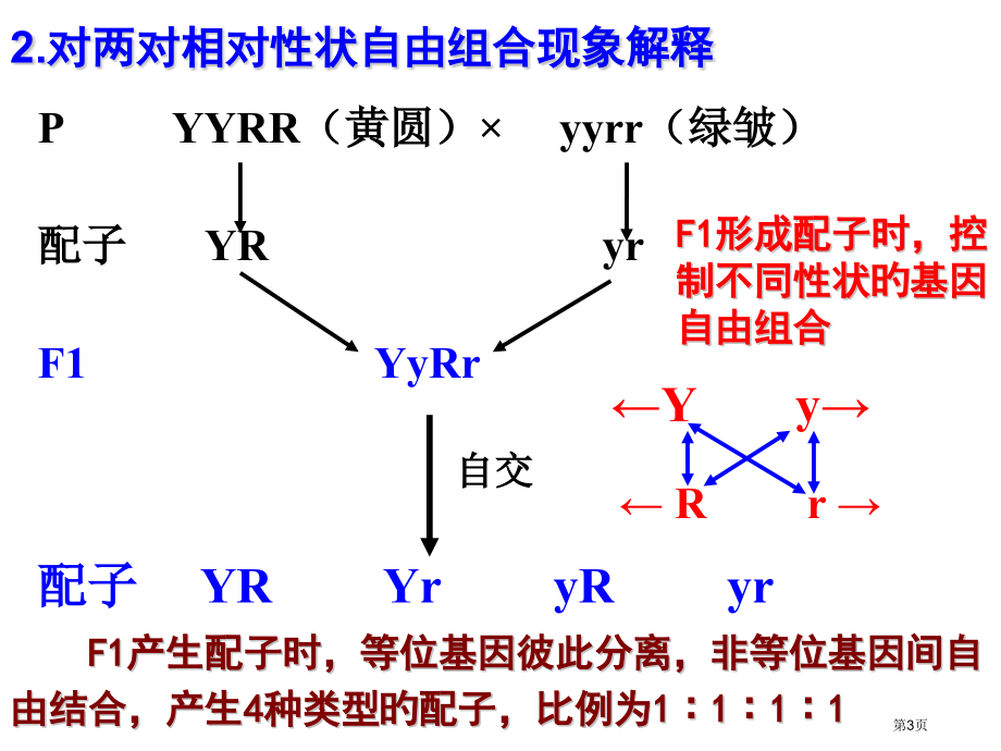 复习必修二遗传的基本规律自由组合规律省名师优质课赛课获奖课件市赛课百校联赛优质课一等奖课件.pptx_第3页