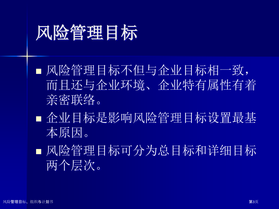 风险管理目标、组织与计划书.pptx_第3页