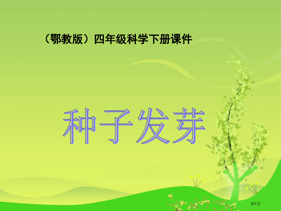 种子发芽5鄂教版四年级科学下册市名师优质课比赛一等奖市公开课获奖课件.pptx_第1页