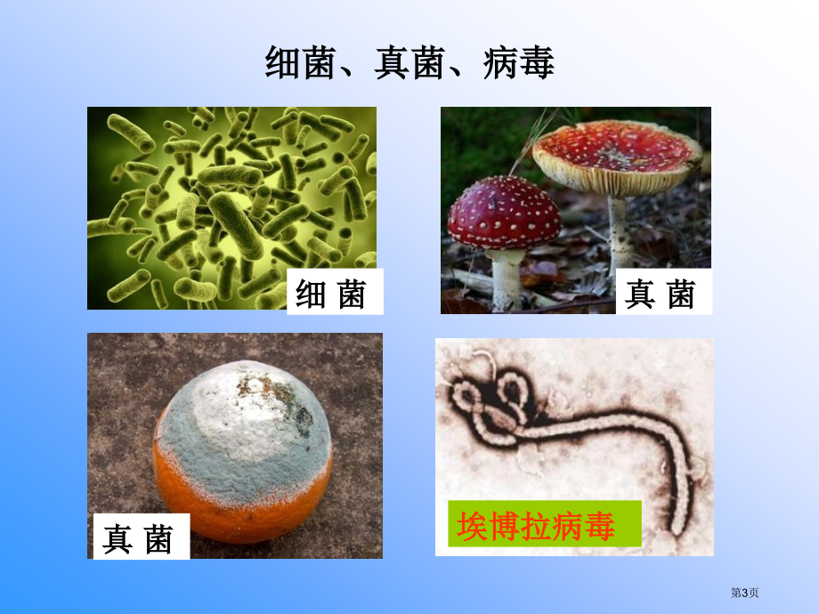 七年级生物上册1.1.1我们周围的生物示范课市公开课一等奖省优质课赛课一等奖课件.pptx_第3页