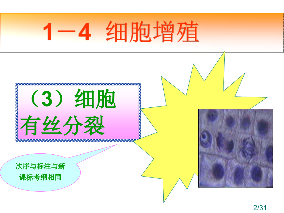 生物一轮复习系列课件市公开课获奖课件省名师优质课赛课一等奖课件.ppt_第2页