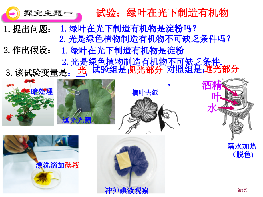 生物六年级下册3.4绿色植物是生物圈中有机物的制造者1市公开课一等奖省优质课赛课一等奖课件.pptx_第3页