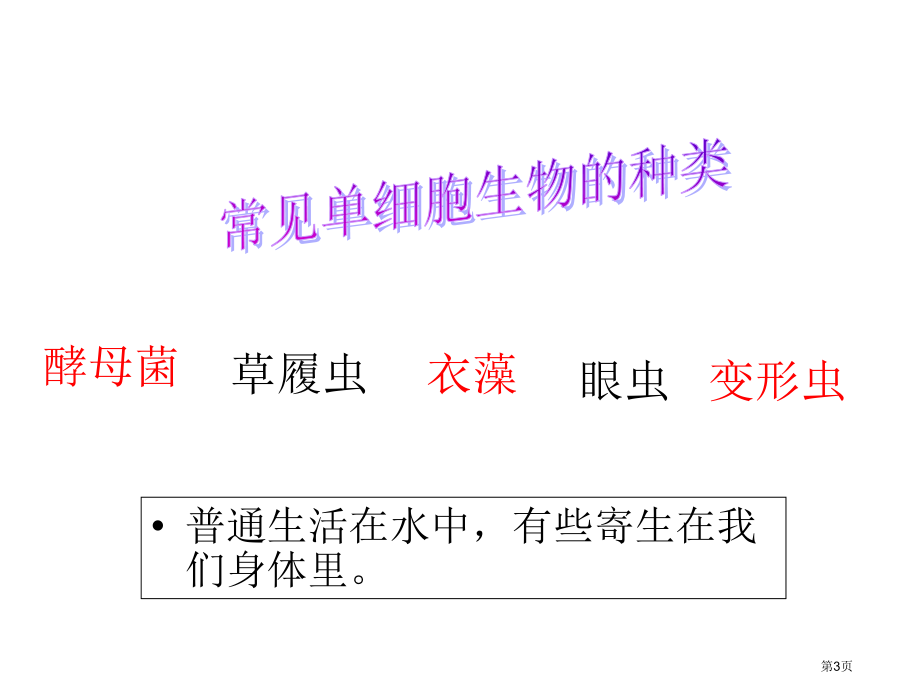 七年级生物上册第二单元第二章第四节单细胞生物参考市公开课一等奖省优质课赛课一等奖课件.pptx_第3页