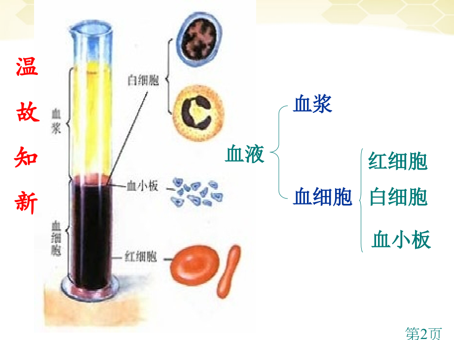 七年级生物下册-输血与血型-人教新课标版省名师优质课赛课获奖课件市赛课一等奖课件.ppt_第2页