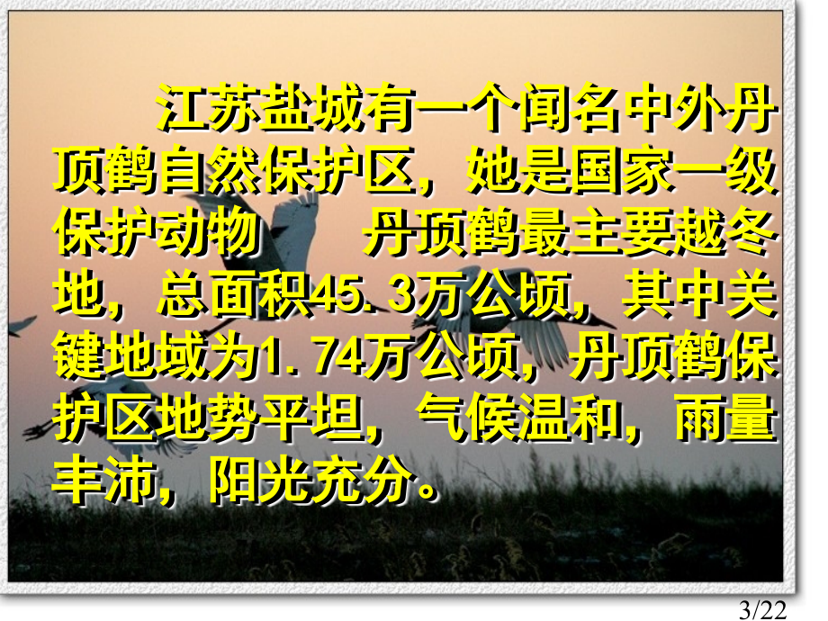 在下面的括号里填上合适的面积单位省名师优质课赛课获奖课件市赛课百校联赛优质课一等奖课件.ppt_第3页