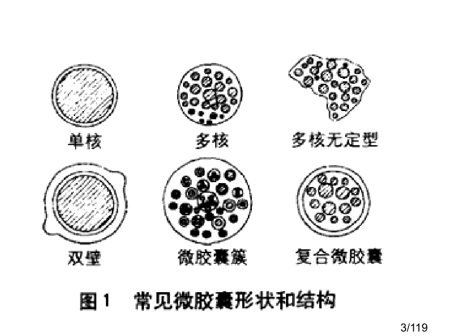 染整助剂与纺织生物市公开课一等奖百校联赛优质课金奖名师赛课获奖课件.ppt_第3页