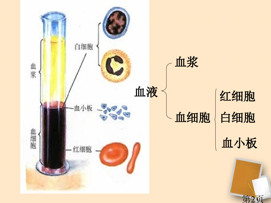 七年级生物下册第四章第四节输血与血型省名师优质课赛课获奖课件市赛课一等奖课件.ppt_第2页