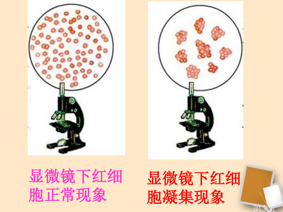 七年级生物下册第四章第四节输血与血型省名师优质课赛课获奖课件市赛课一等奖课件.ppt_第3页