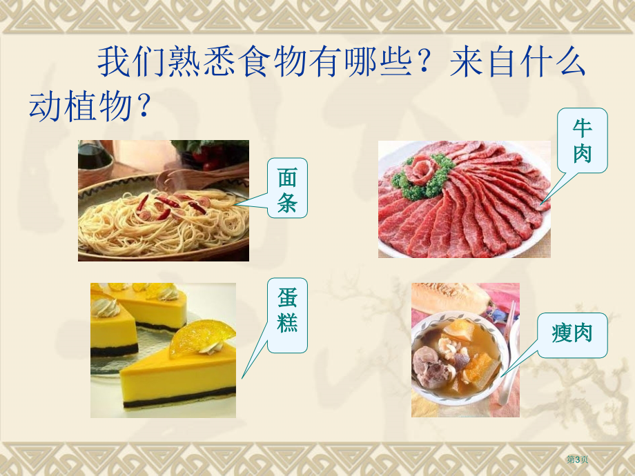 食物从哪里来市名师优质课比赛一等奖市公开课获奖课件.pptx_第3页